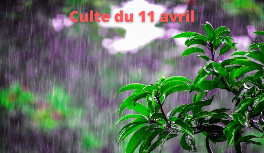 Culte du 11 avril 2021 Culte du 11 avril 2021