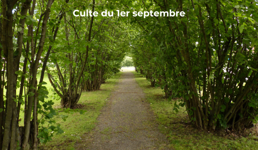 Culte du 1 septembre 2024