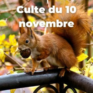 Culte du 10 novembre 2024