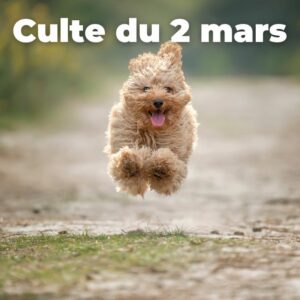 Culte du 2 mars 2025
