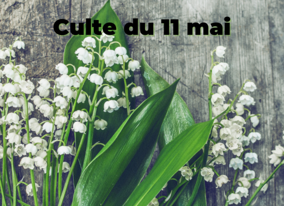 Culte du 11 mai 2025