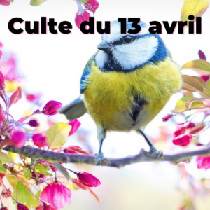 Culte du 13 avril 2025
