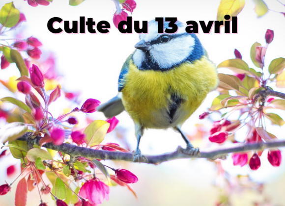 Culte du 13 avril 2025