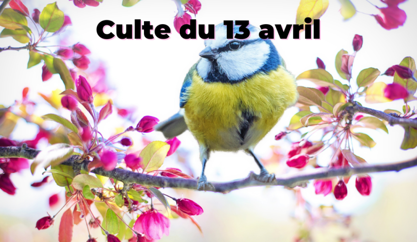 Culte du 13 avril 2025