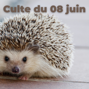 Culte du 08 juin 2025