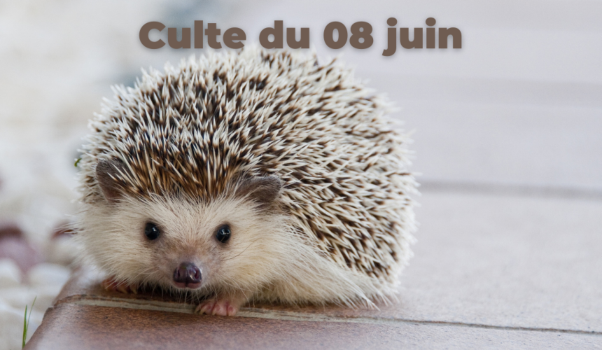 Culte du 08 juin 2025