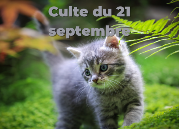 Culte du 21 septembre 2025