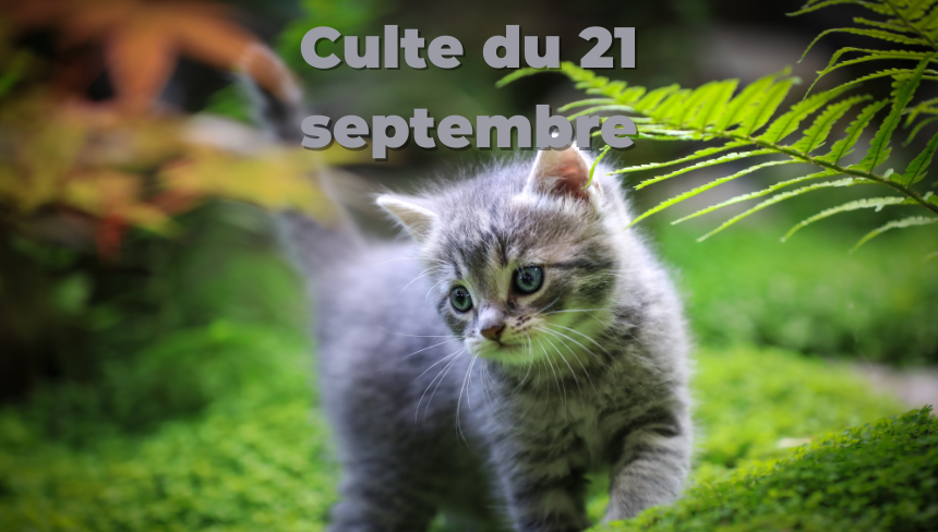 Culte du 21 septembre 2025