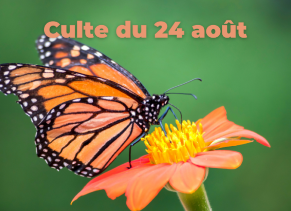 Culte du 24 août 2025
