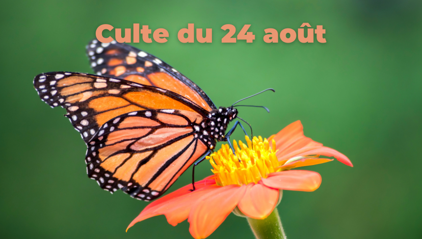 Culte du 24 août 2025