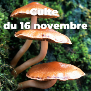 Culte du 16 novembre 2025