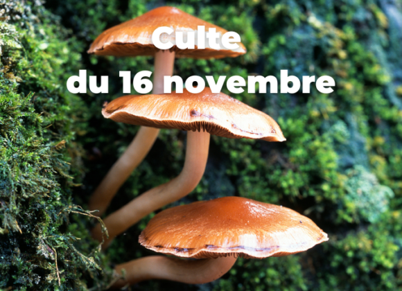 Culte du 16 novembre 2025