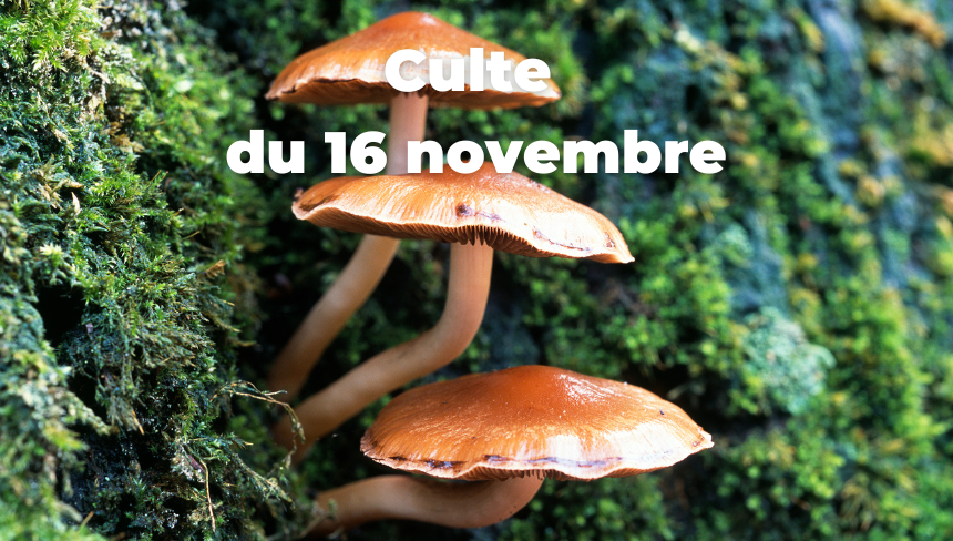 Culte du 16 novembre 2025
