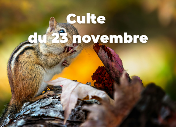 Culte du 23 novembre 2025