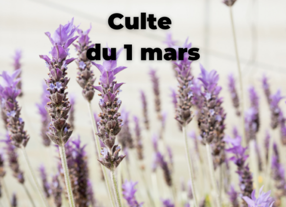 Culte du 01 mars 2026