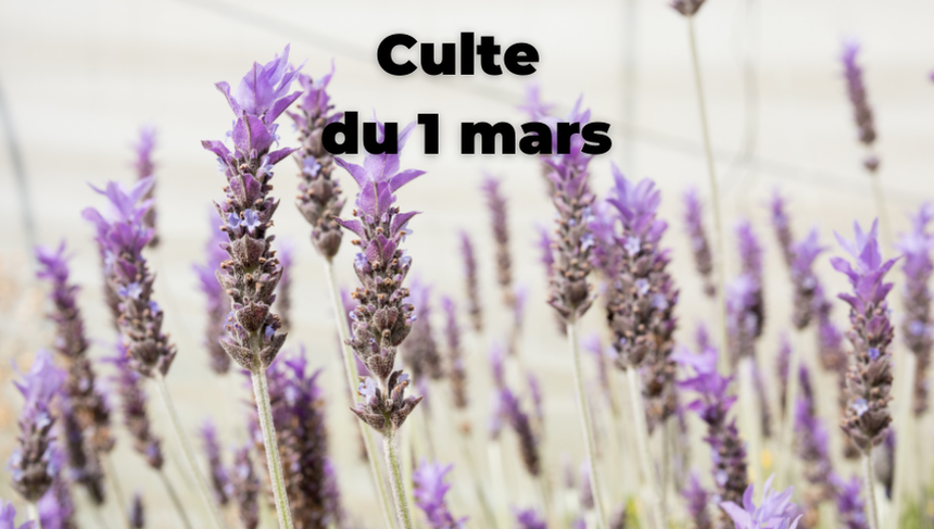 Culte du 01 mars 2026