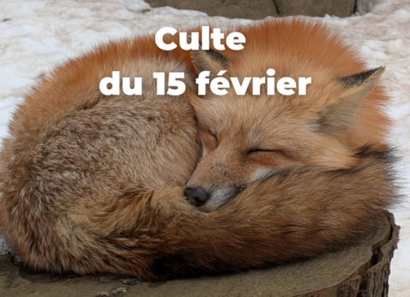 Culte du 15 février 2026 Culte du 15 février 2026
