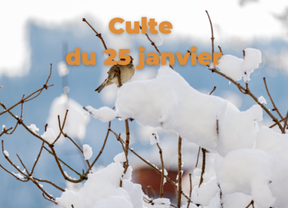 Culte du 25 janvier 2026 Culte du 25 janvier 2026