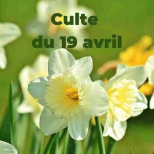Culte du 19 avril 2026