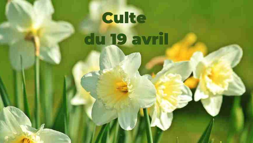 Culte du 19 avril 2026