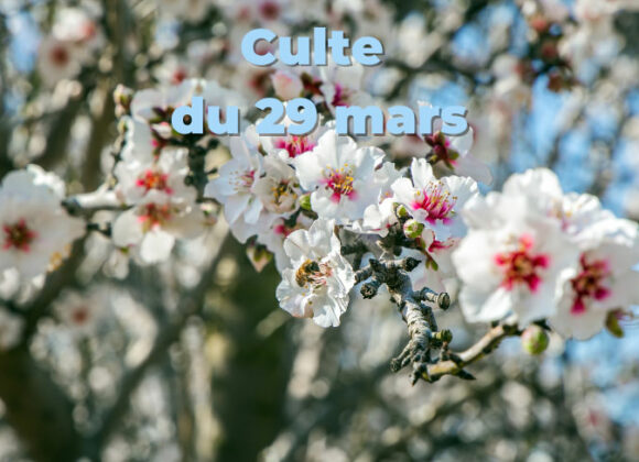 Culte du 29 mars 2026