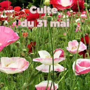 Culte du 31 mai 2026