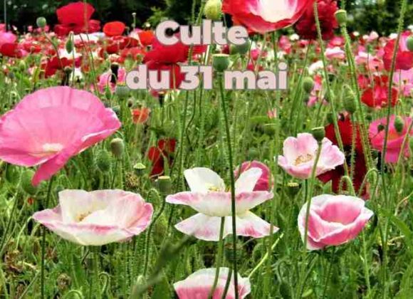 Culte du 31 mai 2026