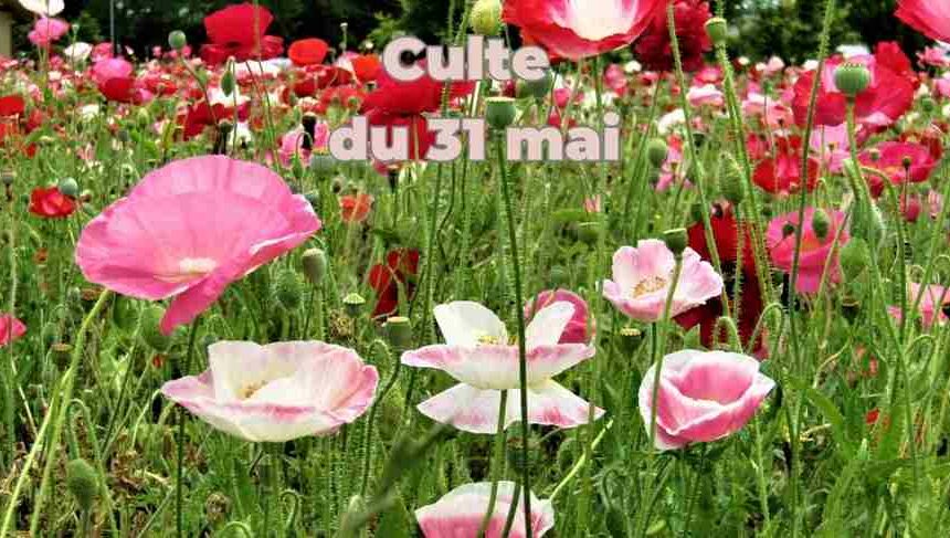 Culte du 31 mai 2026