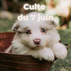 Culte du 07 juin 2026