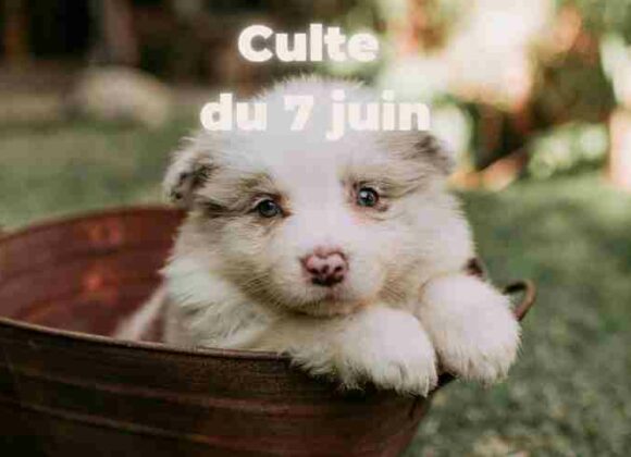 Culte du 07 juin 2026