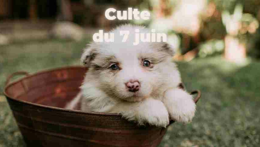 Culte du 07 juin 2026