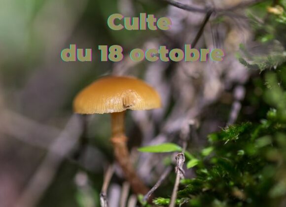 Culte du 18 octobre-2026