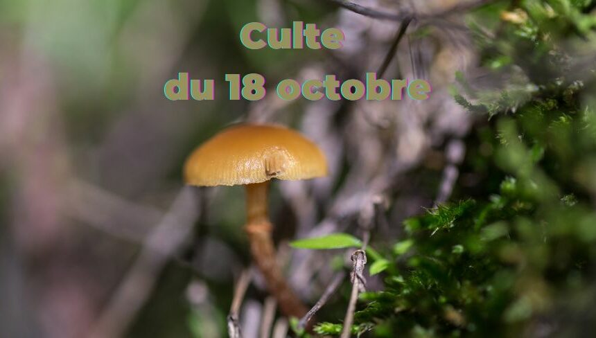 Culte du 18 octobre-2026